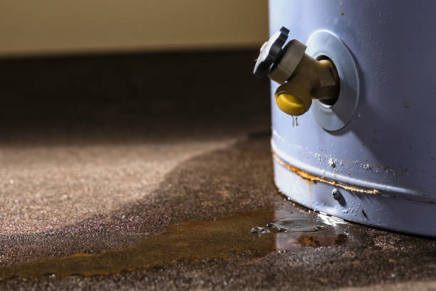 Best Flood damage cleanup  in Gruver, TX