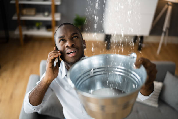 Best Ceiling water damage repair  in Gruver, TX