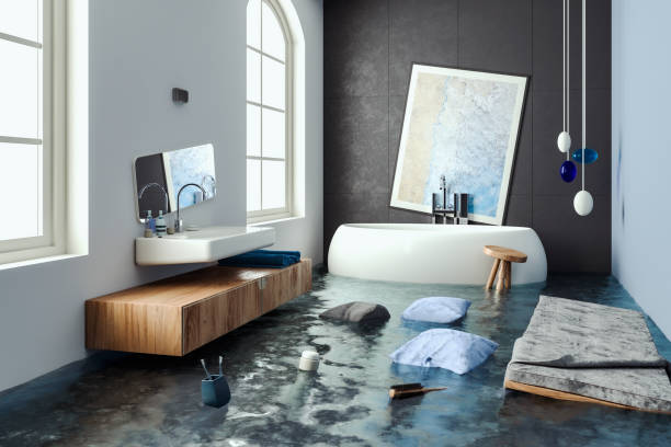 Best Professional water damage repair  in Gruver, TX