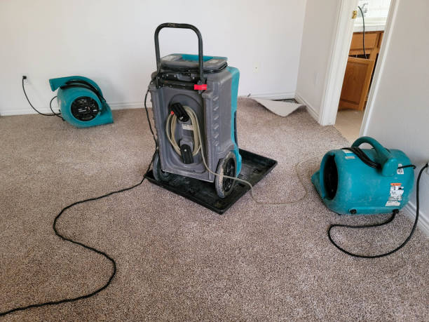 Best Water damage restoration near me  in Gruver, TX