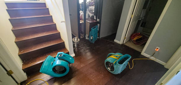 Best Professional water damage repair  in Gruver, TX