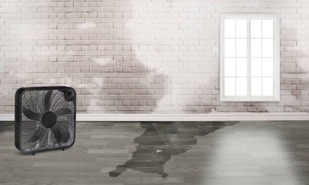 Best Water damage restoration company  in Gruver, TX