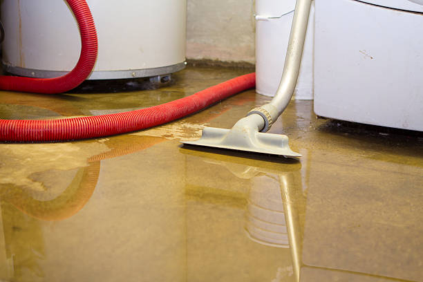 Best Commercial water damage restoration  in Gruver, TX