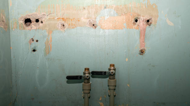 Trusted Gruver, TX Water damage restoration Experts