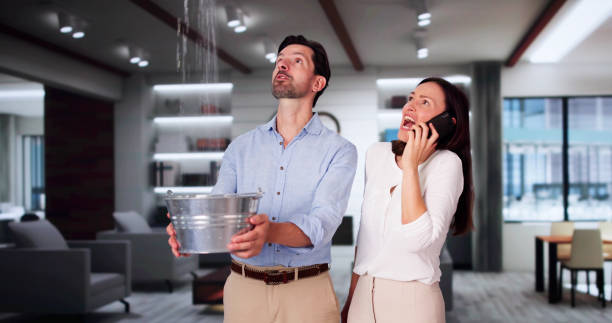 Best Ceiling water damage repair  in Gruver, TX